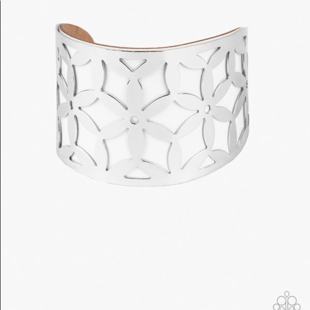 Paparazzi Accessories